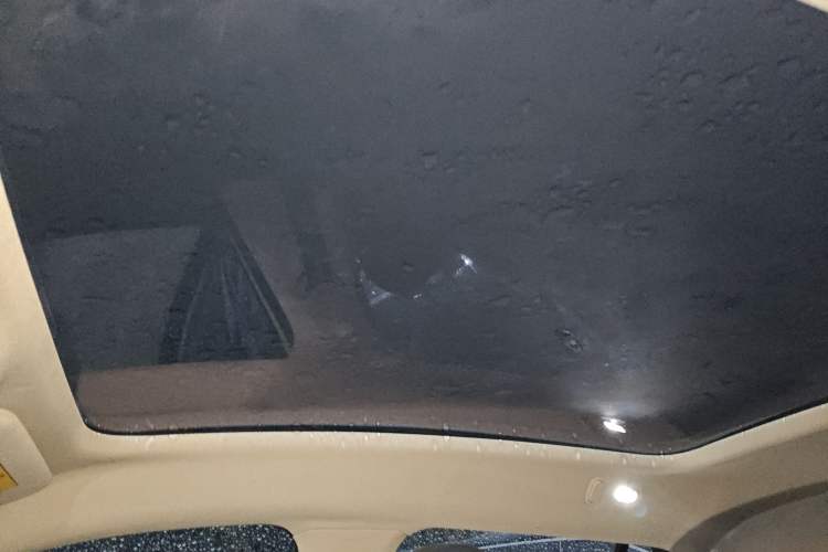 Used firefly firefly 2025 Illuminated Edition
