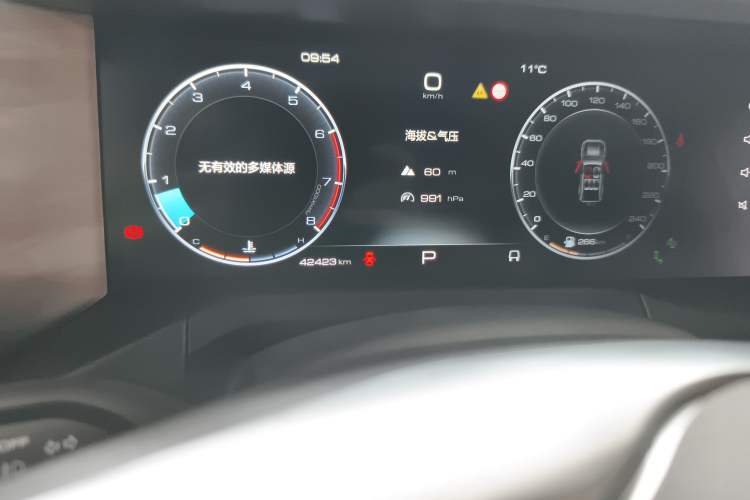 Used Tank 300 2021 City Edition 2.0T—Truly Stylish Odometer Close Up