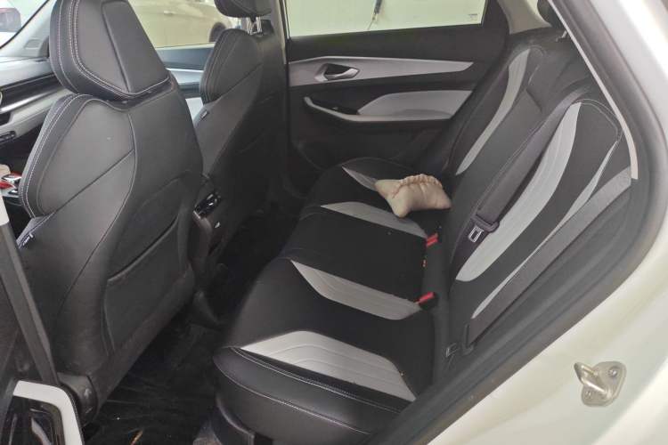 Used Geely Auto Binray 2024 Binrui COOL 1.5T DCT Champion Edition
