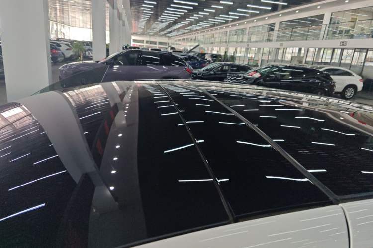 Used Tesla Model X 2016 X P100D Performance High-Performance Edition Roof