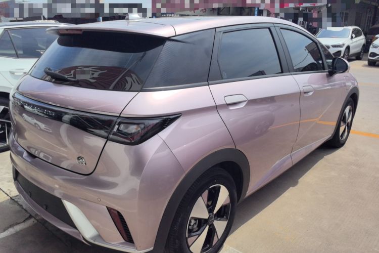 Used BYD Dolphin 2023 420 km Fashion Edition