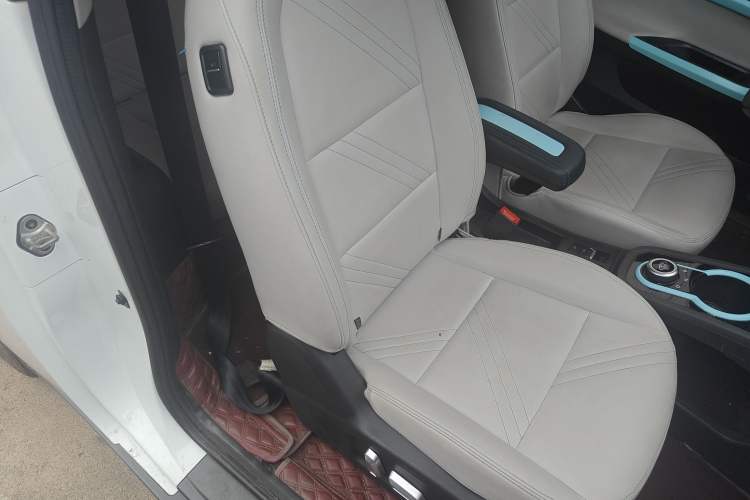 Used Chery New Energy Little Ant 2021 200 000-Yuan Ant Fan Edition Talent Version Lithium Iron Phosphate 301 km