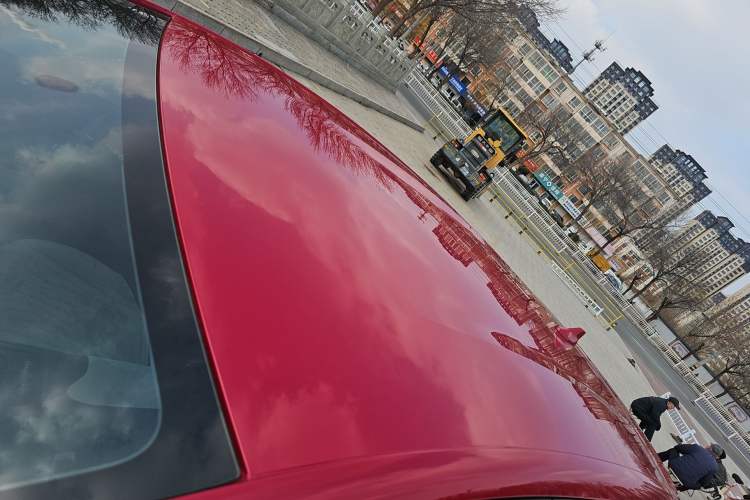 Used BYD Dolphin 2025 420km Free Edition