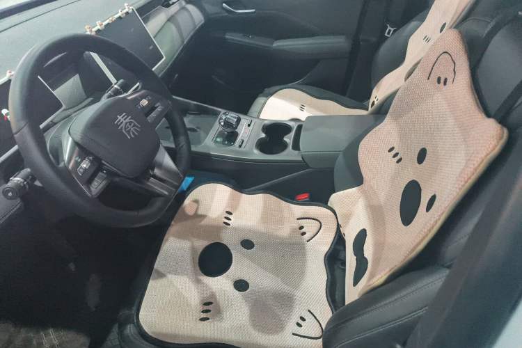 Used BYD Qin PLUS 2025 DM-i Smart Drive 55KM Leading Model