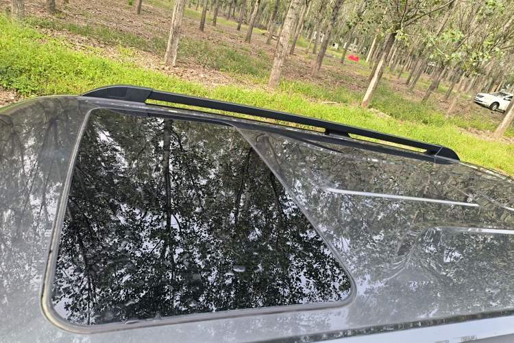 Used Tank 400 2025 2.0T Gasoline Version