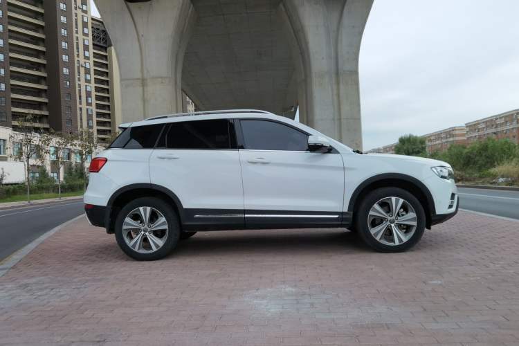 Used Haval H6 Coupe 2016 Blue-Label Diesel 2.0T Manual Two-Wheel Drive Elite Model China IV Standard
