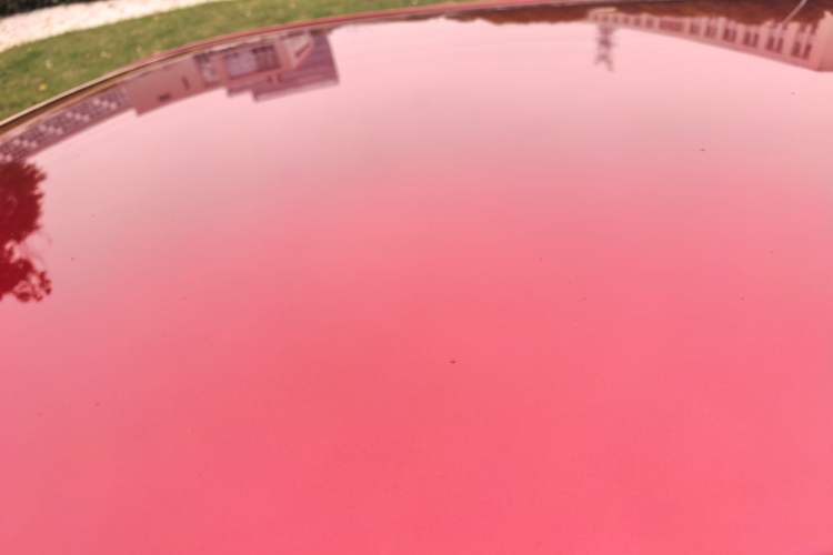 Used Nissan Qashqai 2016 2.0L CVT Elite Edition Roof