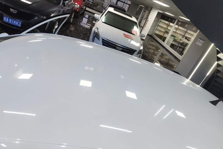 Used Volkswagen Polo 2018 1.5L Automatic Advanced Driving Model
