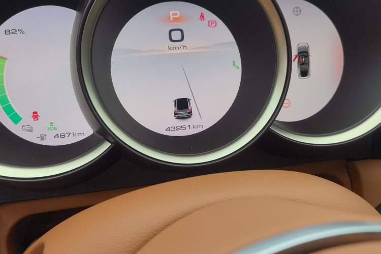 Used ORA Lightning Cat 2022 555 km Luxury Edition
