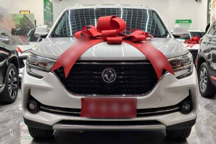 Used FORTHING T5 2021 Revised 1.6L Manual Comfort Version