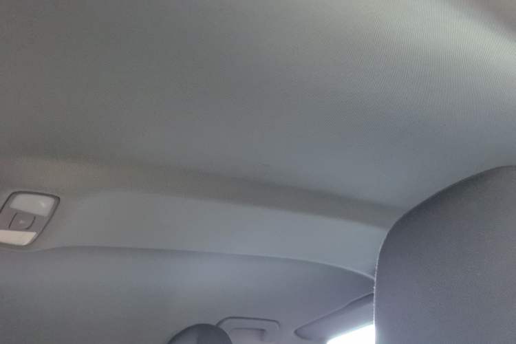 Used Audi A3 2018 30th Anniversary Edition Sportback 35 TFSI Ambition Model Headliner