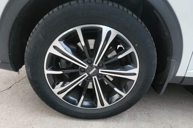 Used Wey VV6 2021 2.0T Two-Wheel Drive Smart Protection+