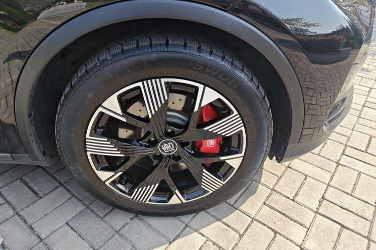 Used BYD Tang New Energy 2024 DM-p Champion Edition 215 km All-Wheel-Drive Flagship Model Exterior 4