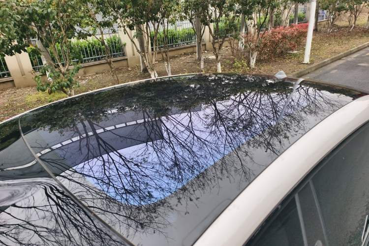 Used IM LS6 2023 Max Long-Range Version
