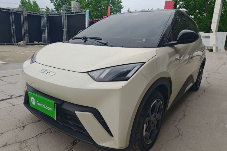 Used BYD Seagull 2025 305 km Free Version