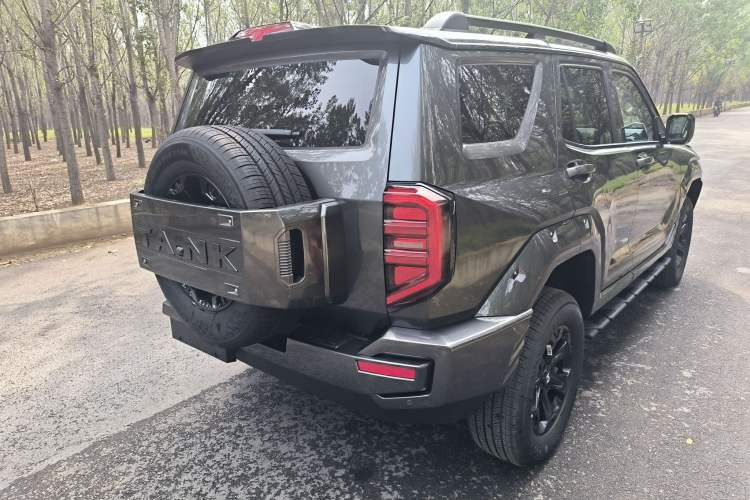 Used Tank 400 2025 2.0T Gasoline Version