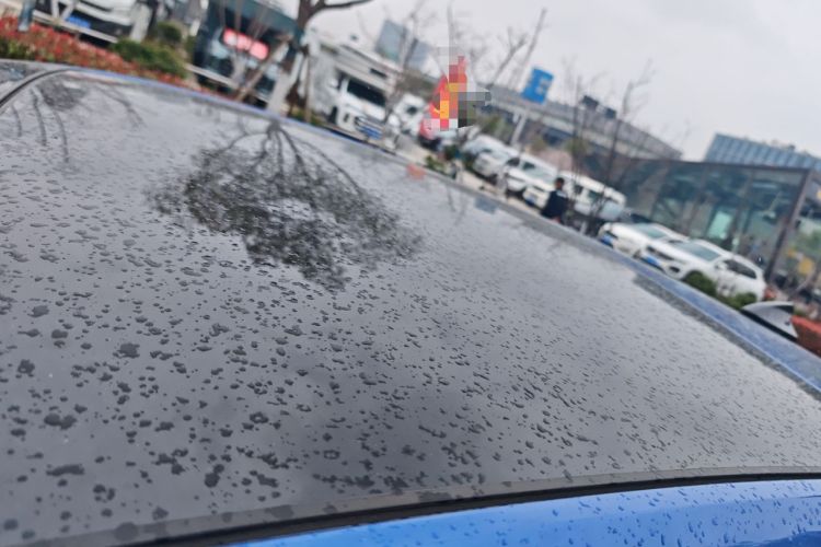 Used Volkswagen Polo 2019 Plus 1.5L Automatic Panoramic Enjoyment Edition Roof