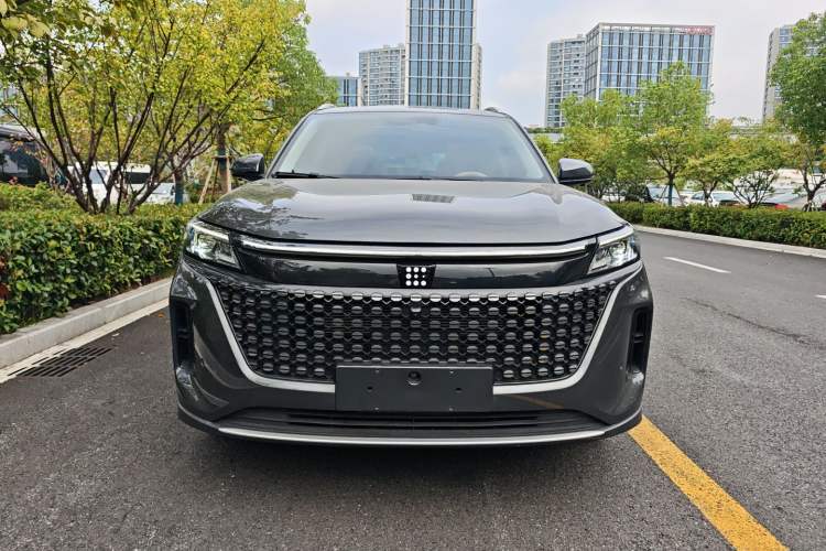 Used Landian E5 2024 Honor Edition 100KM Premium Model 7 Seats
