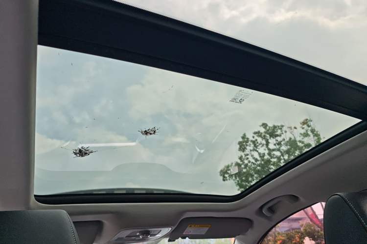 Used MG EZS Electric 2019 E-Plus Edition
