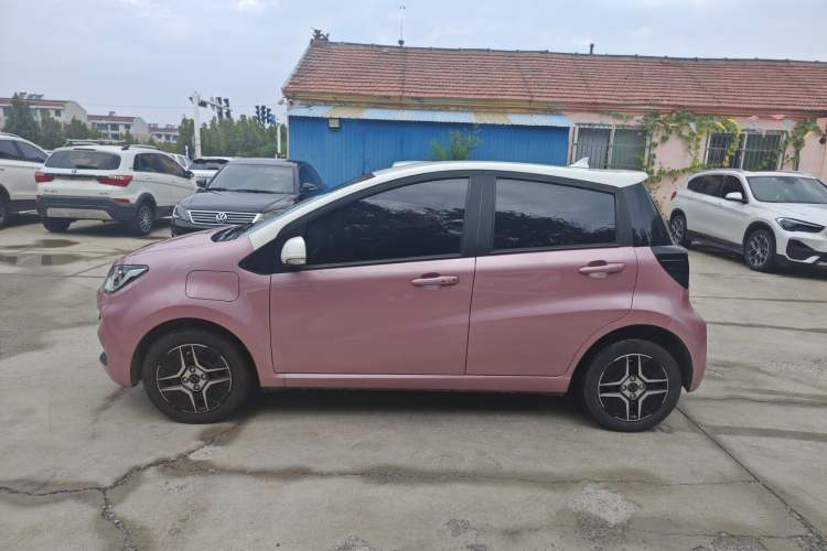 Used SOL E10X 2022 Flower Fairy Design Four-Leaf Clover