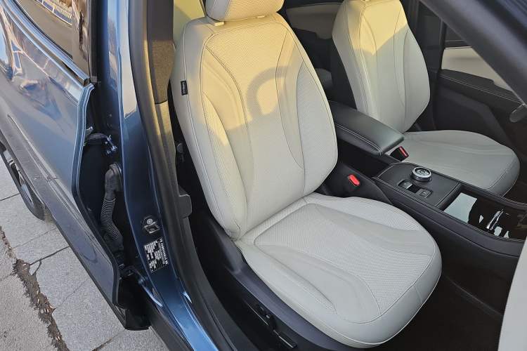 Used Ford Mustang Mach-E 2021 AION Y Plus Rear-Drive Luxury Edition (Long Range)