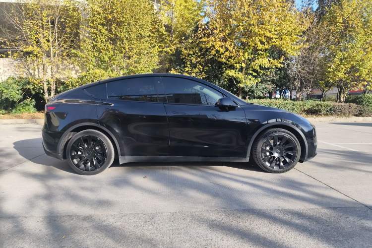 Used Tesla Model Y 2021 Standard Range Rear-Wheel Drive Version