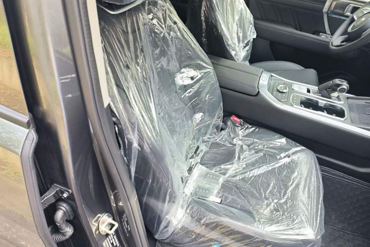 Used Tank 400 2025 2.0T Gasoline Version