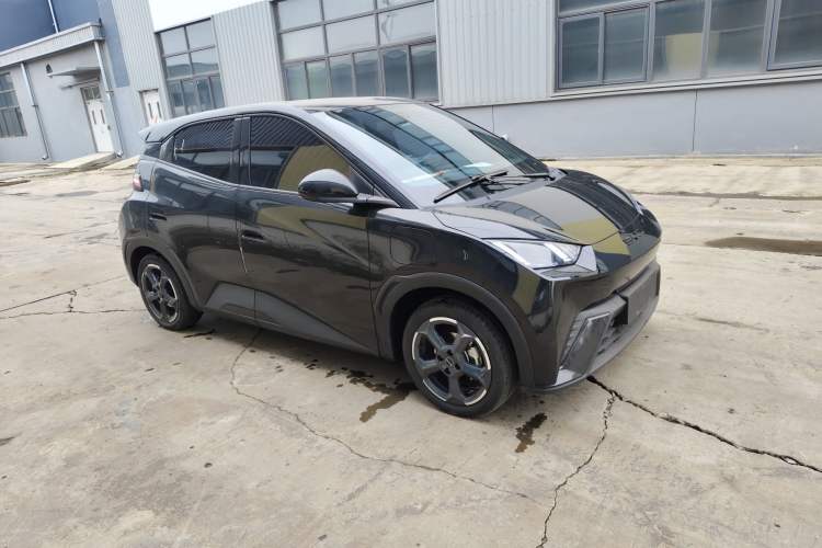 Used BYD Seagull 2023 Flying Edition