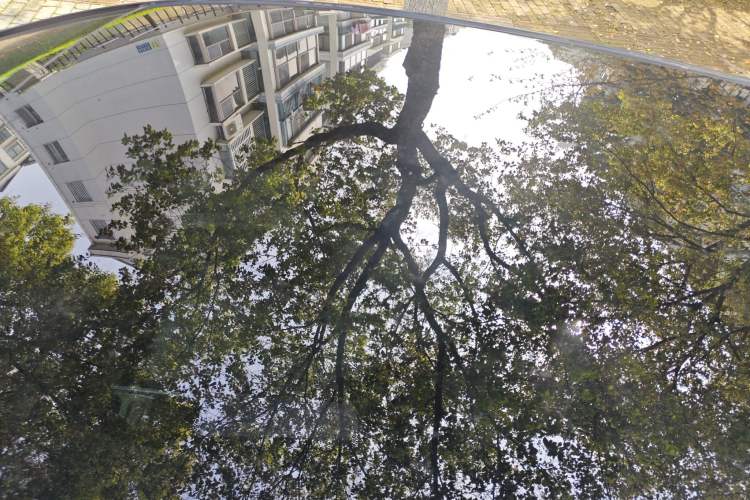 Used BYD Dolphin 2023 420 km Fashion Edition