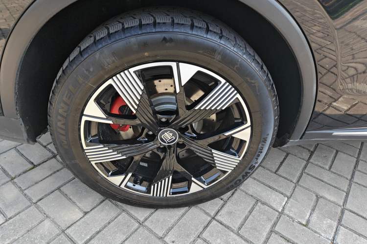 Used BYD Tang New Energy 2024 DM-p Champion Edition 215 km All-Wheel-Drive Flagship Model Exterior 3