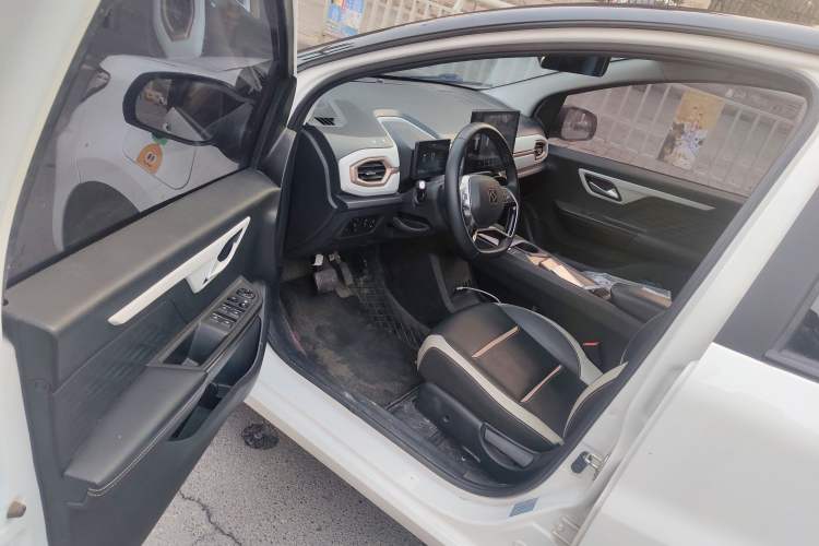 Used SOL E10X 2022 Flower Fairy Design Sunflower