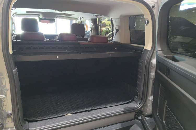 Used Tank 300 2024 2.0T Conqueror
