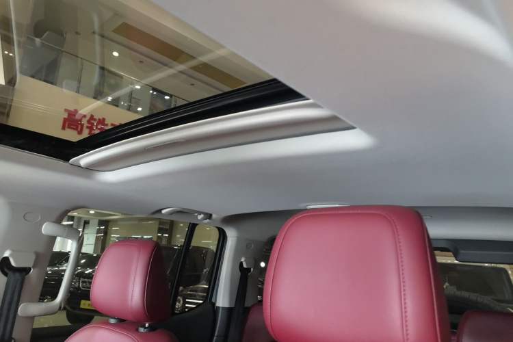 Used Tank 300 2024 2.0T Conqueror
