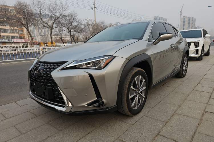 Used Lexus UX New Energy 2020 300e Pure·Joy Edition