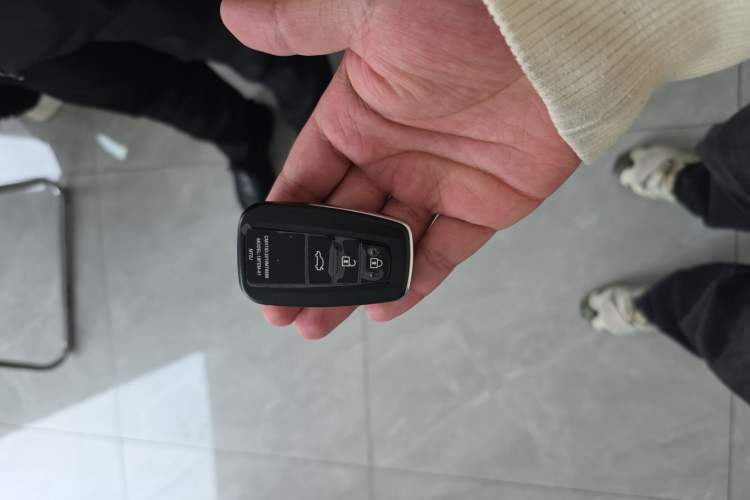 Used Toyota Wildlander 2024 2.0L CVT Two-Wheel Drive Leading Edition