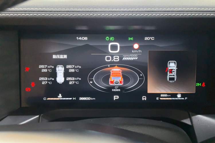 Used Tank 300 2024 2.0T Conqueror
