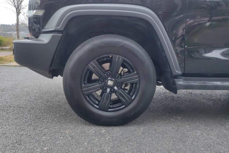 Used Tank 300 2024 2.0T Conqueror
