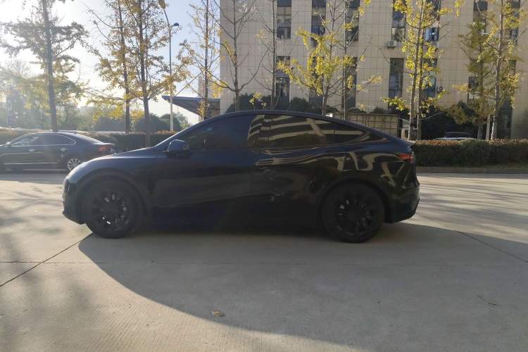 Used Tesla Model Y 2021 Standard Range Rear-Wheel Drive Version