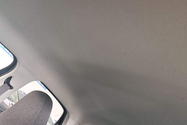 Used Leapmotor T03 2020 400 Lite Edition Headliner