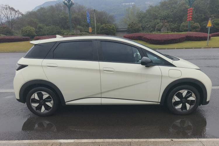 Used BYD Dolphin 2024 Honor Edition 420km Fashion Version