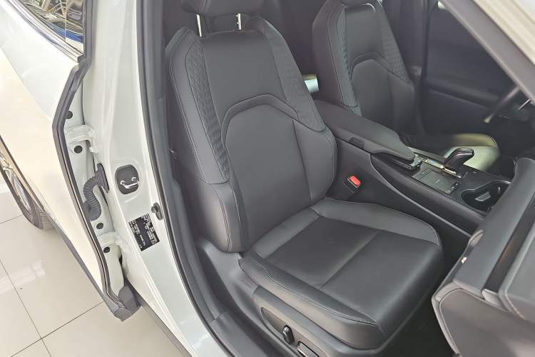 Used Lexus UX New Energy 2020 300e Pure·Joy Edition
