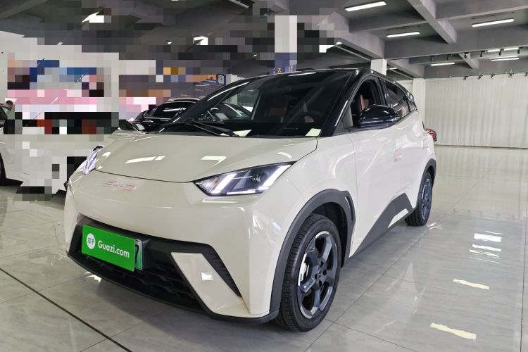 Used BYD Seagull 2023 Free Edition