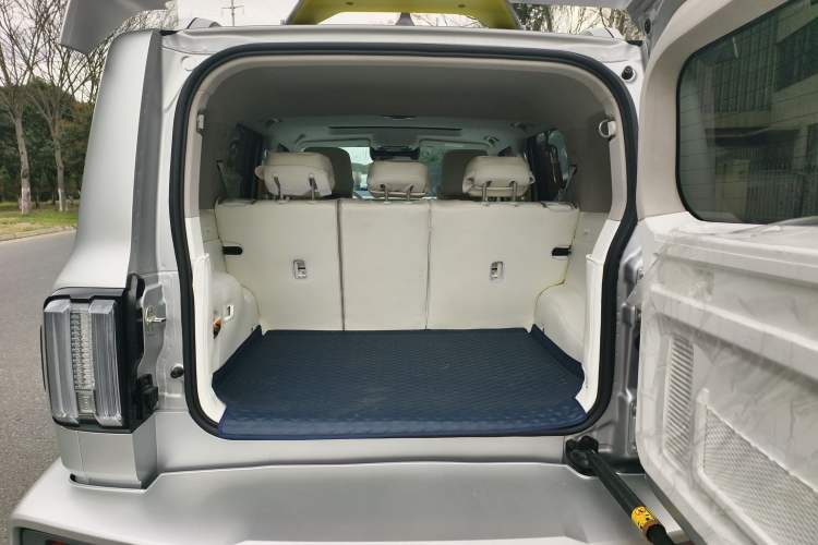 Used Cyberspace Tank 300 2021 2.0T Cyber Tank