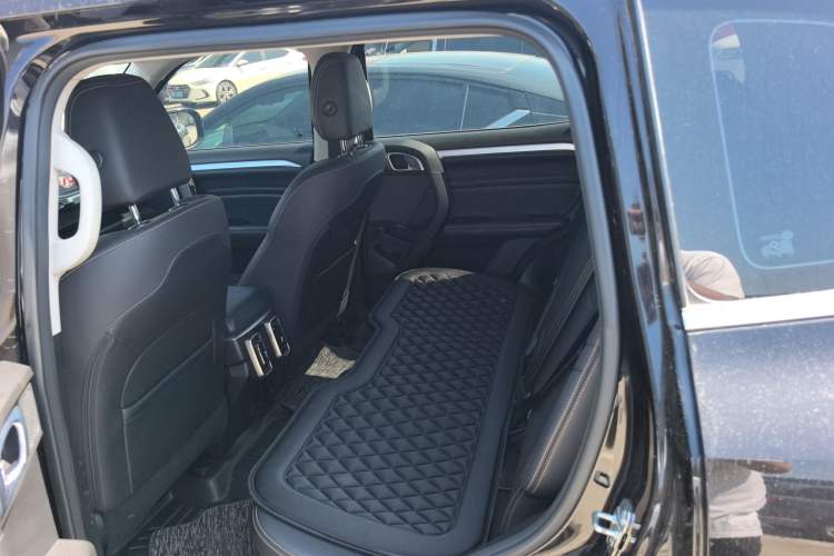 Used Haval DARGO 2021 1.5T DCT Two-Wheel Drive Border Collie Edition Left Rear Seat