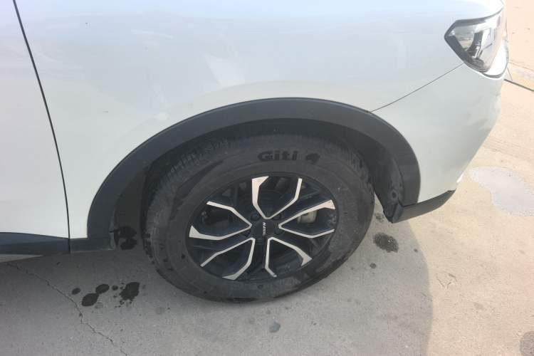 Used Haval H6 2021 National Trend Edition 1.5T Automatic Urban Version