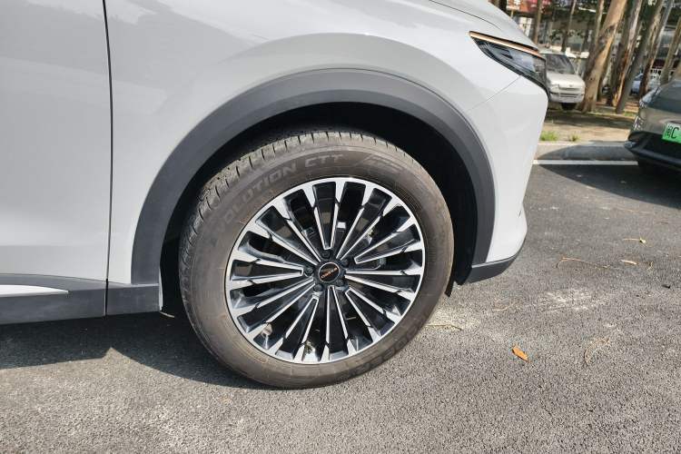 Used EXEED Stellar 2023 400T Two-Wheel Drive Comfort Flyfish Edition