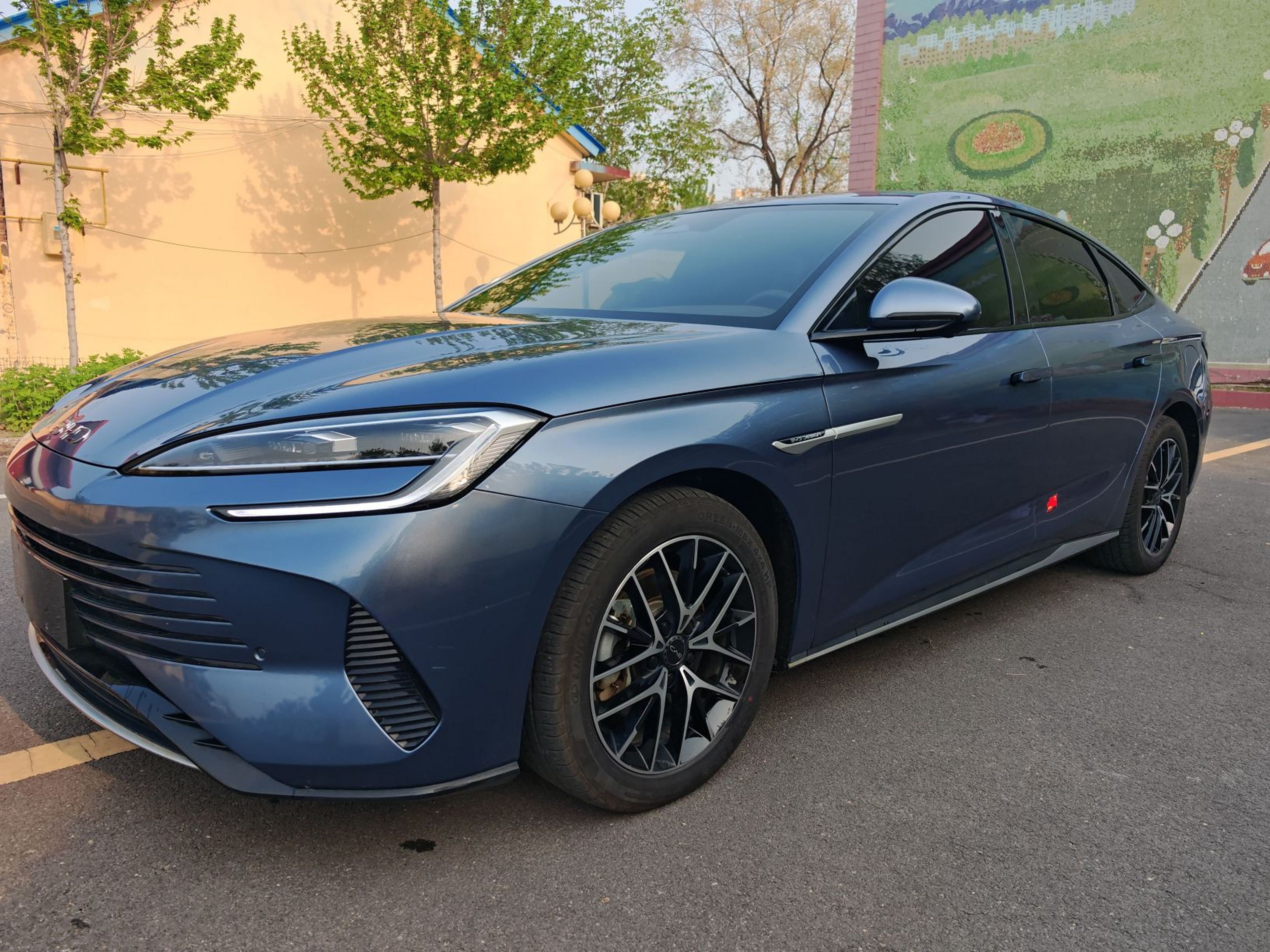 Parte inferior delantera