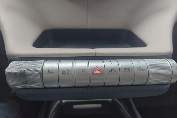 Used BYD Dolphin 2023 420 km Free Version Gear Lever