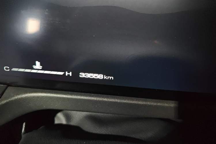 Used Tank 300 2021 Off-Road Edition 2.0T Challenger Odometer Close Up