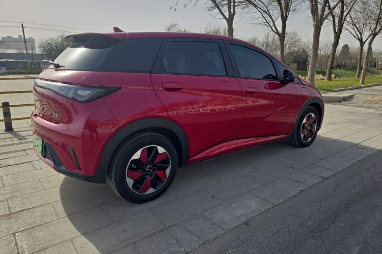 Used BYD Dolphin 2025 420km Free Edition
